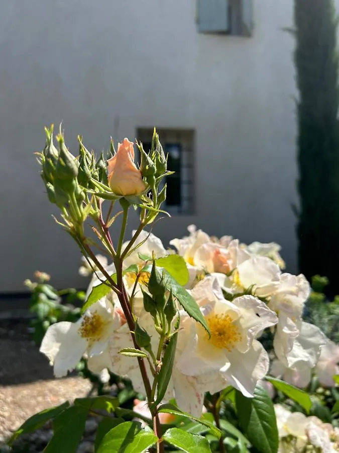Frühstückspension Il Glicine - Natural Bnb Castello Di Godego
