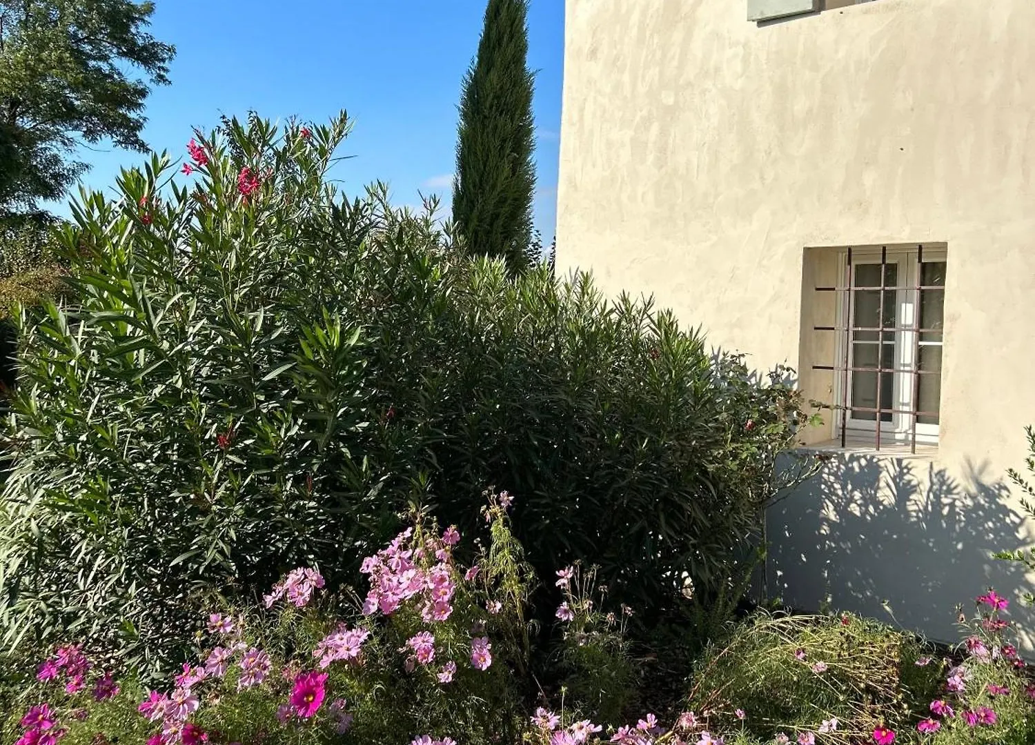Il Glicine - Natural Bnb Castello Di Godego 0*,  Italie