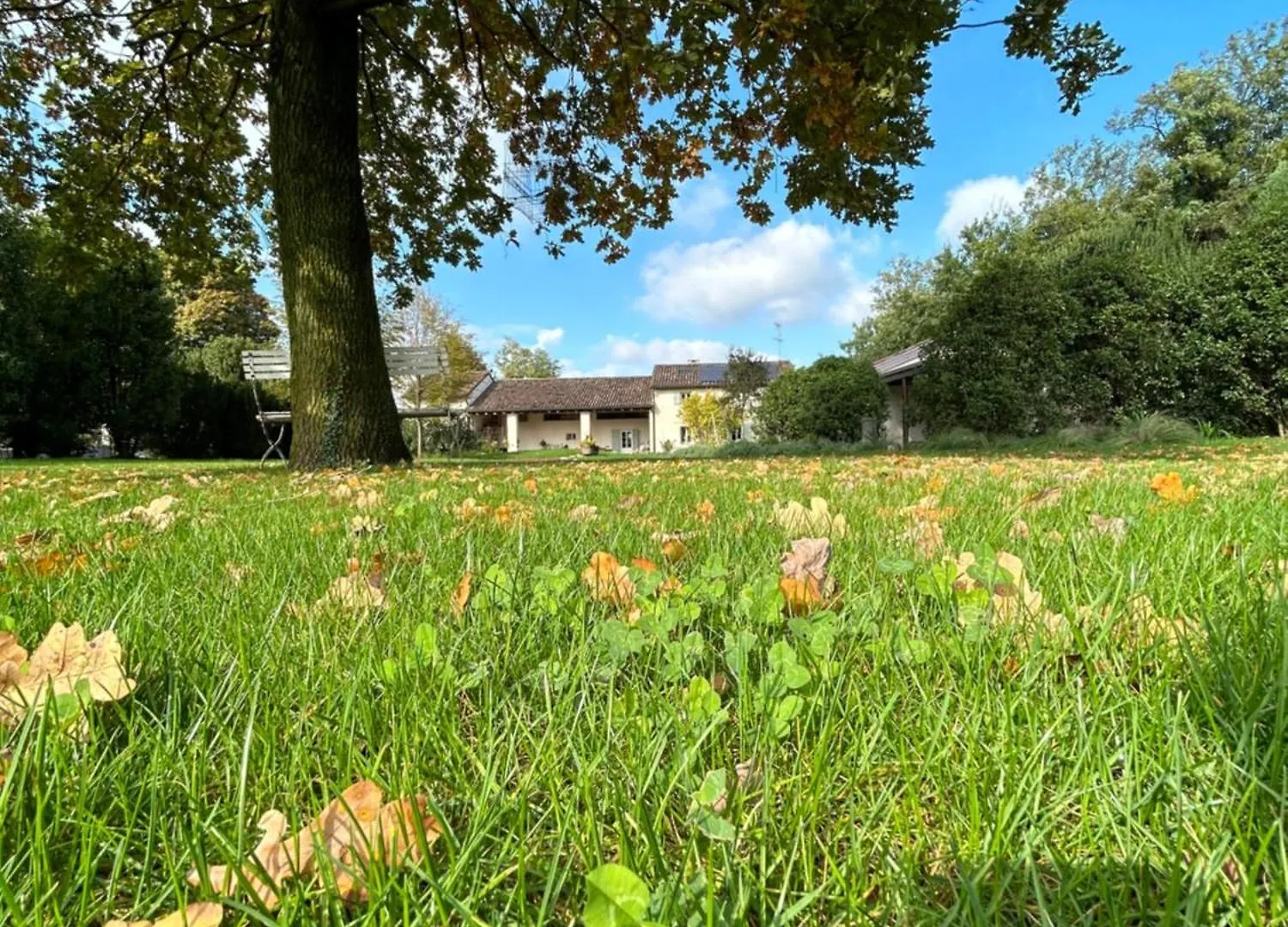 Frühstückspension Il Glicine - Natural Bnb Castello Di Godego