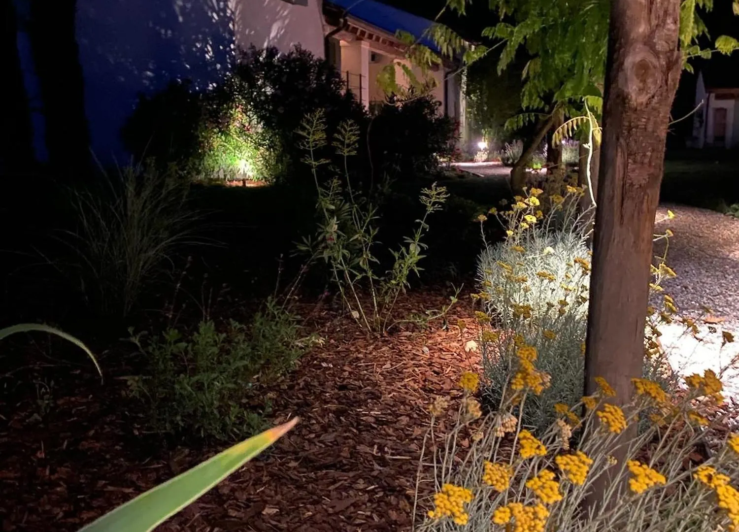 Il Glicine - Natural Bnb Castello Di Godego Italien