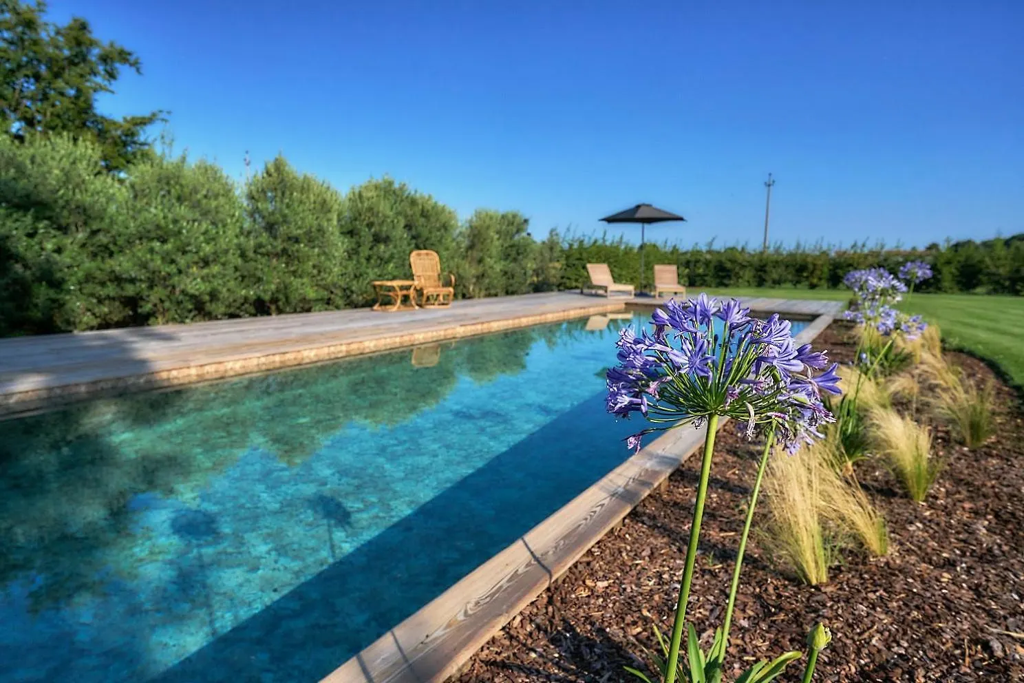 Il Glicine - Natural Bnb Castello Di Godego