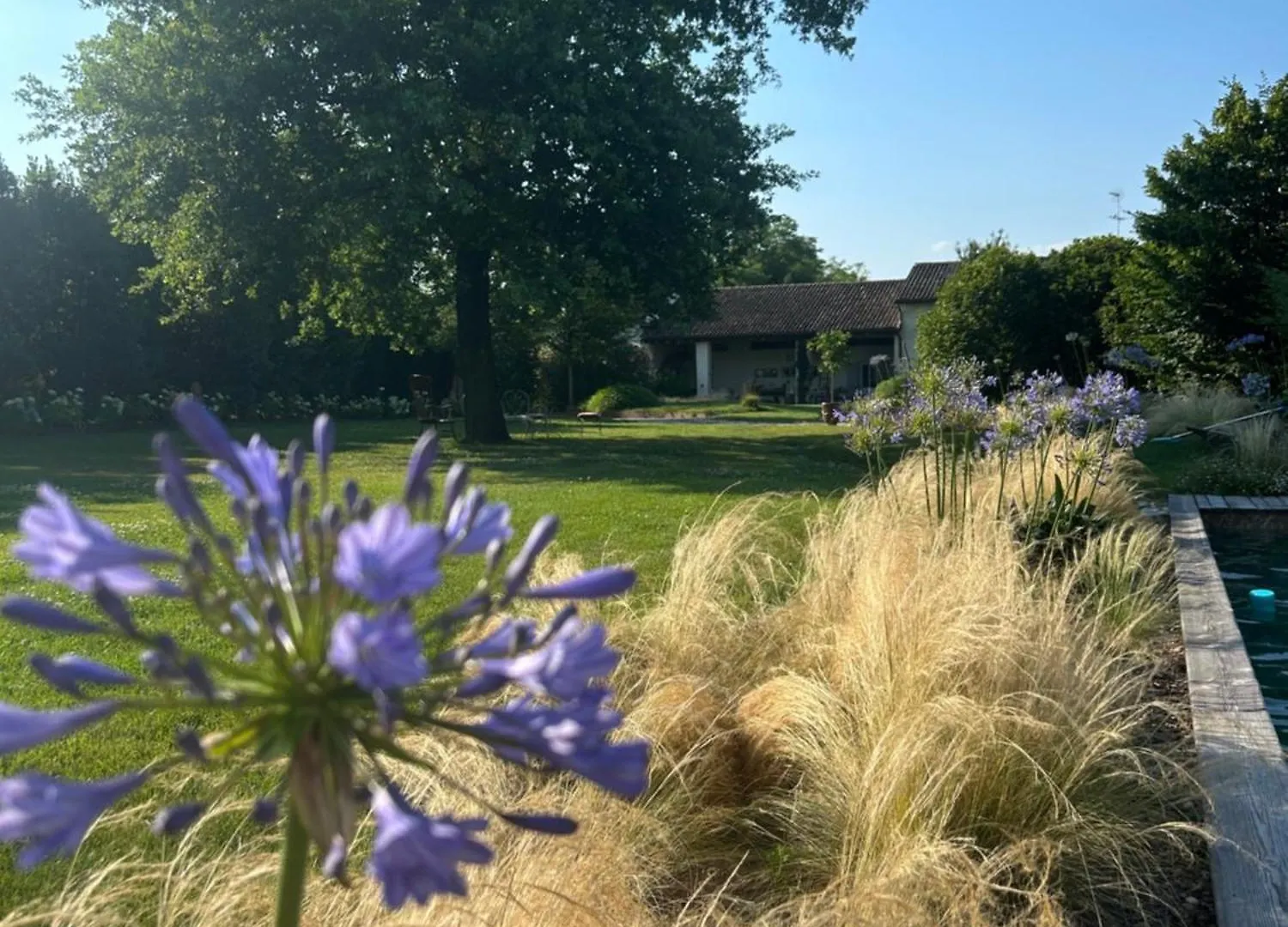 Il Glicine - Natural Bnb Castello Di Godego