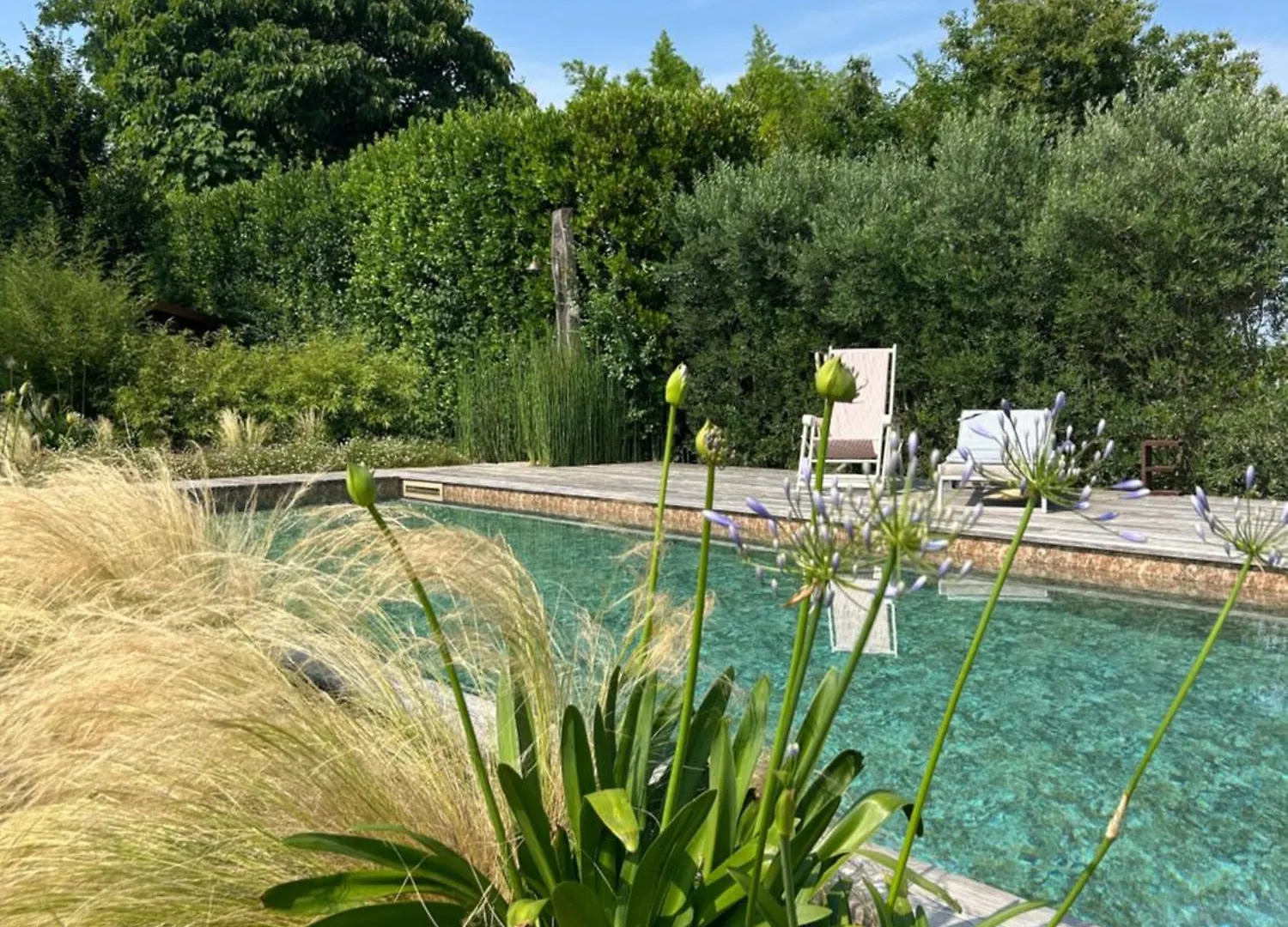 Frühstückspension Il Glicine - Natural Bnb Castello Di Godego Italien