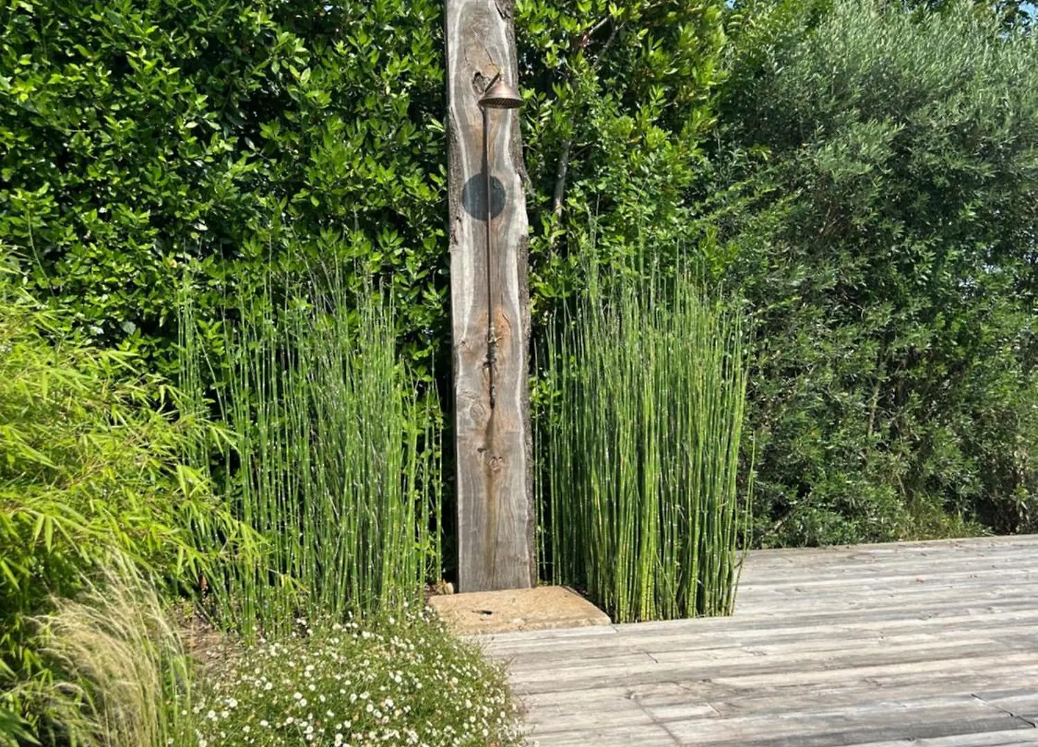 Bed & Breakfast Il Glicine - Natural Bnb Castello Di Godego Itálie